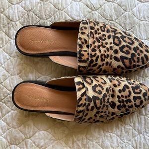 Leopard slides